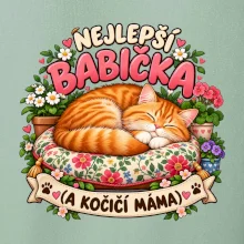 Nejlepší babička a kočičí máma spící zrzavý kocour