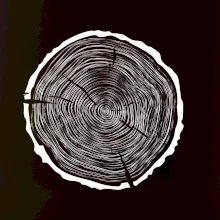 Letokruhy 60 bez věku