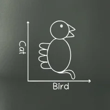 Cat bird diagram