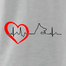 Německý ovčák ekg