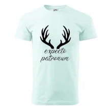 Harry - Expecto patronum