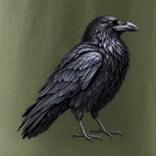 Zvířata Jizerských hor- Krkavec velký