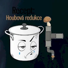 Recept houbová redukce