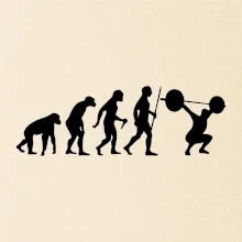 Evolution fitness Evolution fitness