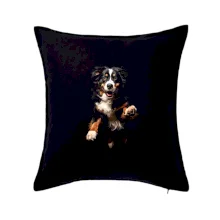 Bernský salašnický pes skakájící černá fotka