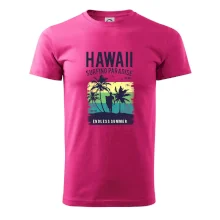Hawaii Hawaii