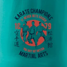 Karate Champions