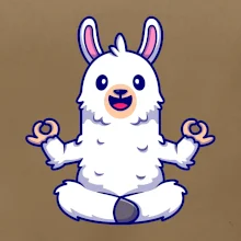 Yoga meditace - lama