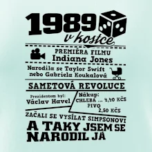 1989 v kostce
