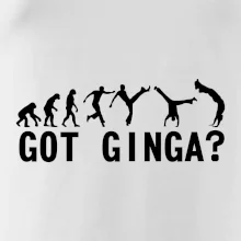 Capoeira - Got Ginga