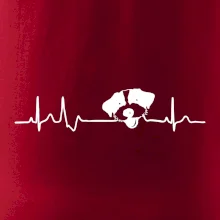 Jack Russell Terriér hrubosrstý Ekg