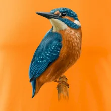 Lednáček kreslený