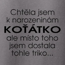 Chtěla jsem dostat k narozeninám koťátko