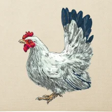 Slepice kreslená bílá