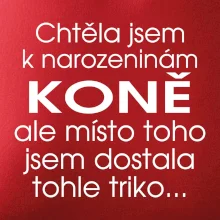 Chtěla jsem dostat k narozeninám koně