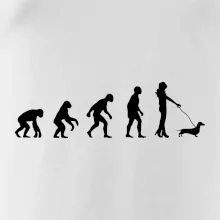 Jezevčík Evoluce žena