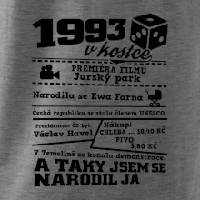 1993 v kostce