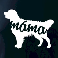 Zlatý retrívr máma obrys