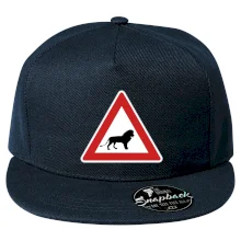 Dopravní značka - Pozor lev