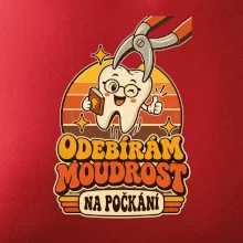 Odebírám moudrost na počkání