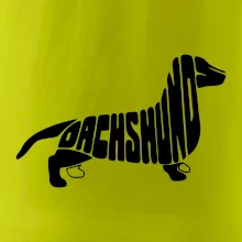 Jezevčík - Dachshund