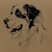 Bernský salašnický pes černá kresba