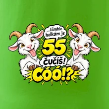 Těmhle holkám je 55, čučíš co?