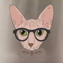 Hipster sphynx