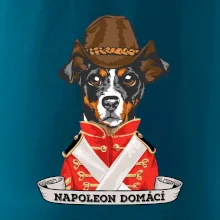 Napoleon domácí pes kříženec