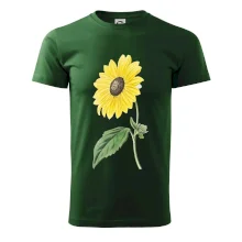 Slunečnice otočená