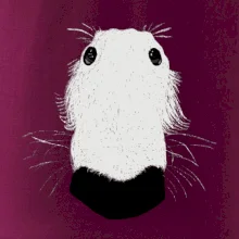 Barzoj čumák (Moňas)