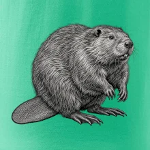 Zvířata Šumavy – Bobr evropský