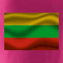 Litva vlajka obdélník