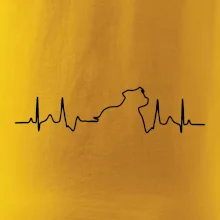 Stafordšírsky bulteriér EKG