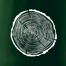 Letokruhy 40 bez věku