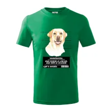 Lump a darebák labrador