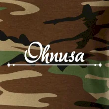 Staročeština - Ohnusa - nestoudník, hanebník, nemrava