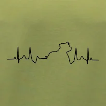 Stafordšírsky bulteriér EKG