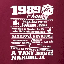 1989 v kostce