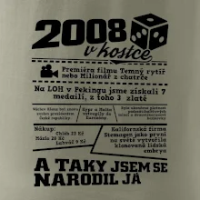 2008 v kostce