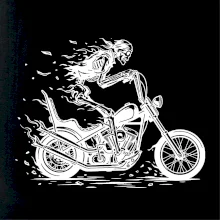 Chopper kostra