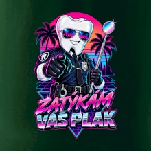 Zatýkám váš plak