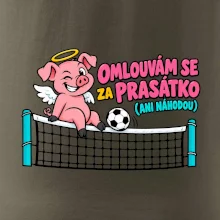 Nohejbalové prasátko na síti