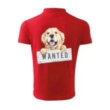 Zlatý retriever - štěně wanted