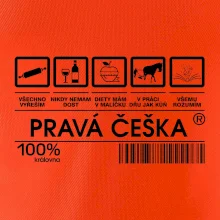 Čárový kód  - Pravá Češka