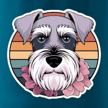 Knírač - fenka a květiny