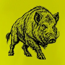 Zvířata Krkonoš – prase divoké