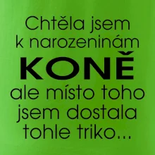 Chtěla jsem dostat k narozeninám koně