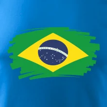 Brazílie vlajka štětkou