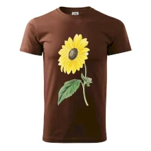 Slunečnice otočená